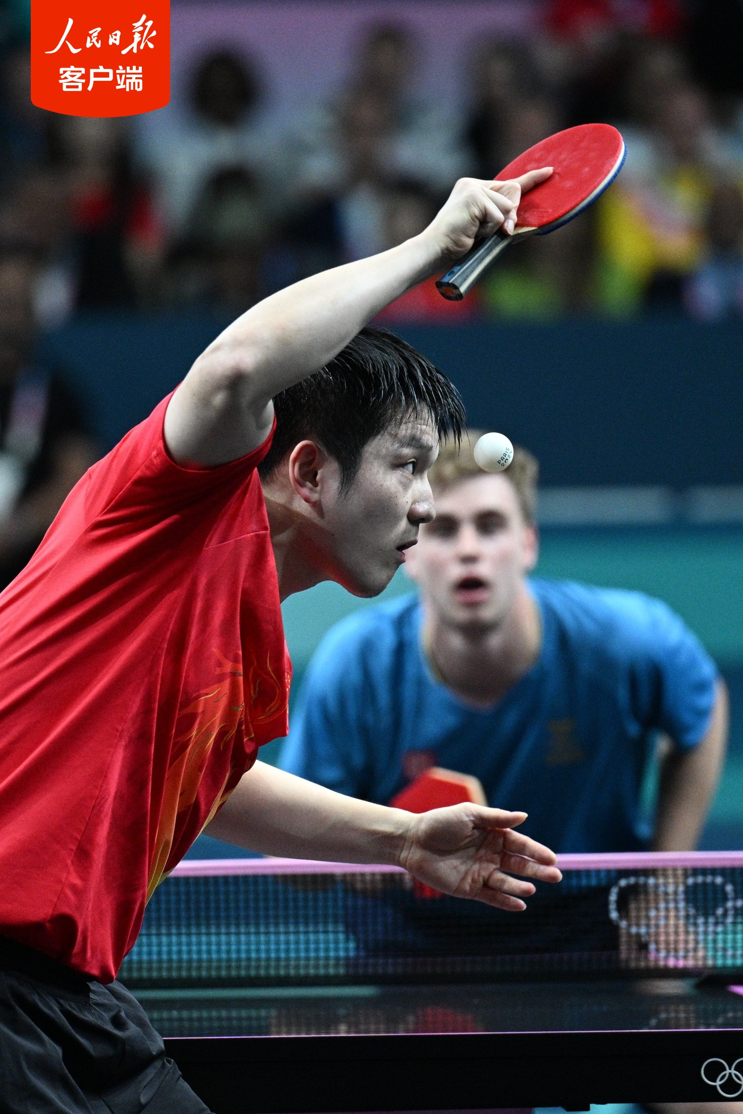 包含瑞典队完胜波兰队，樊振东高光表现的词条