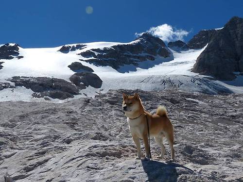欧冠式降维打击！当骑士以提前终结悬念的王者姿态碾过辽宁