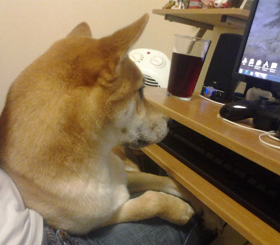 唯一的光芒,窒息时刻的冰冷刺杀