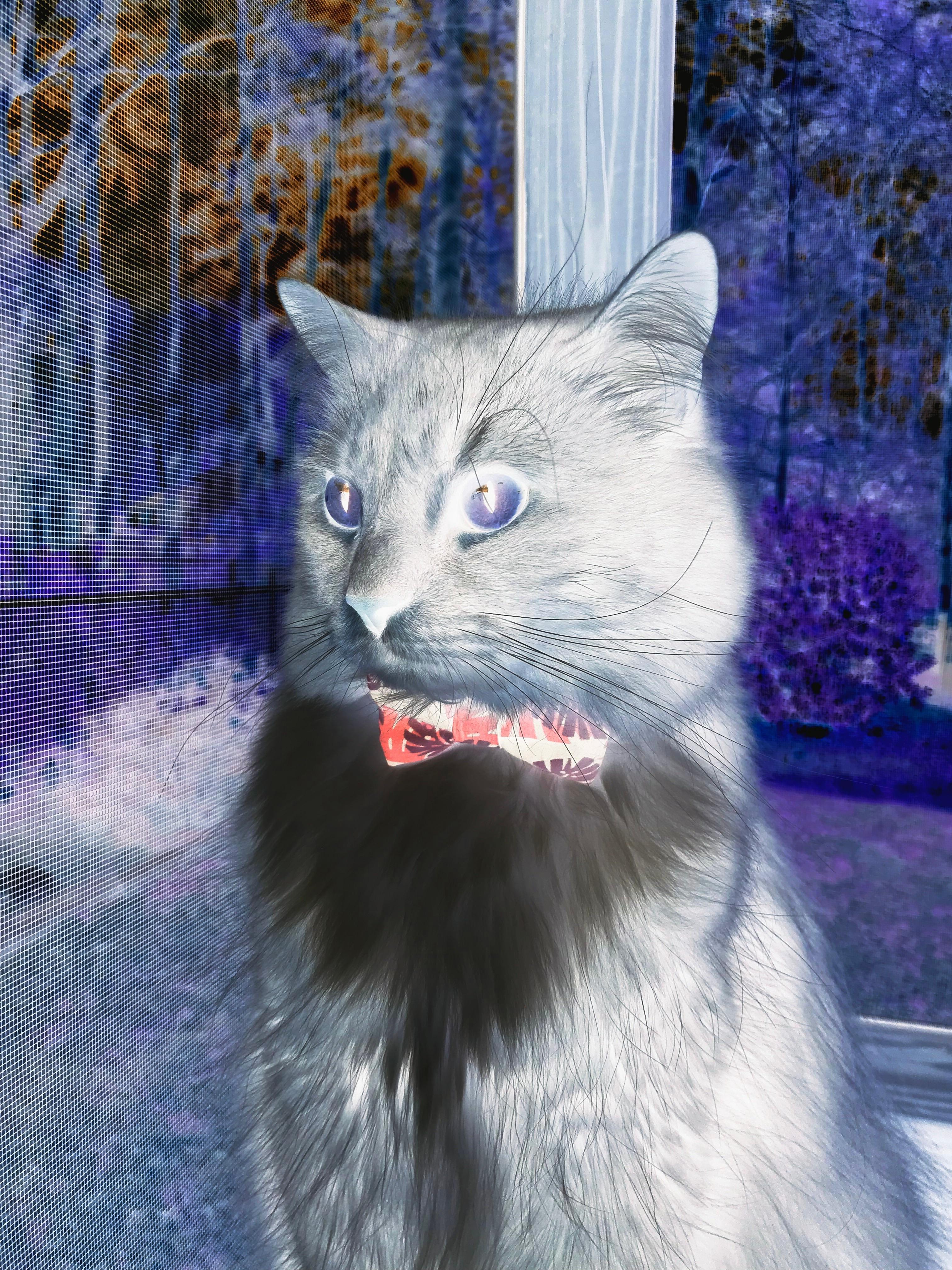 熔炉之心,终场前31秒,米切尔的完美手术刀与年度焦点之夜的终极定义