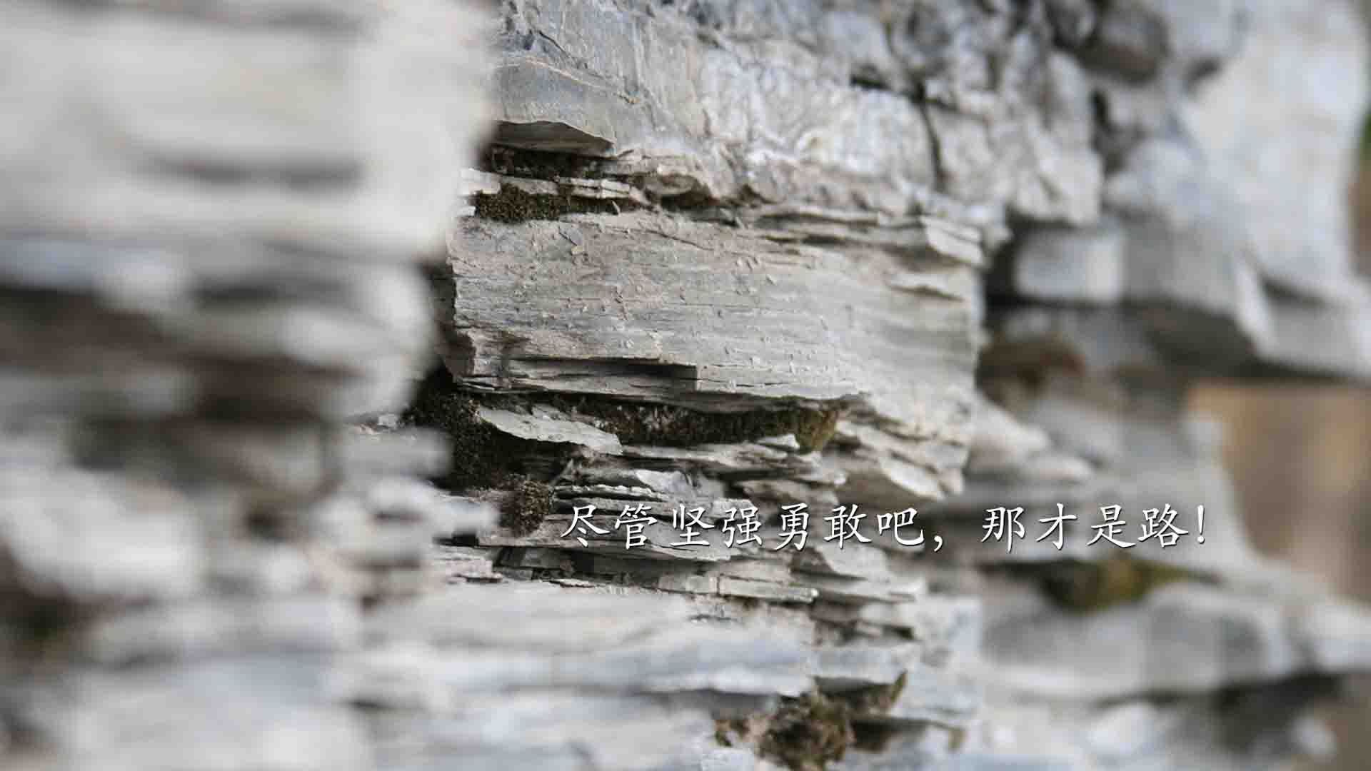 虚构的慈善赛，当苏亚雷斯在切尔西与南非的唯一舞台上戴帽