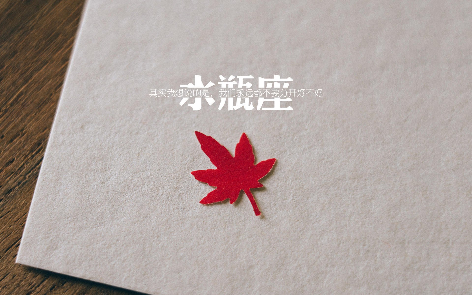 魔术终结者切特，一根锁链缠死森林狼，冠军级表现诞生