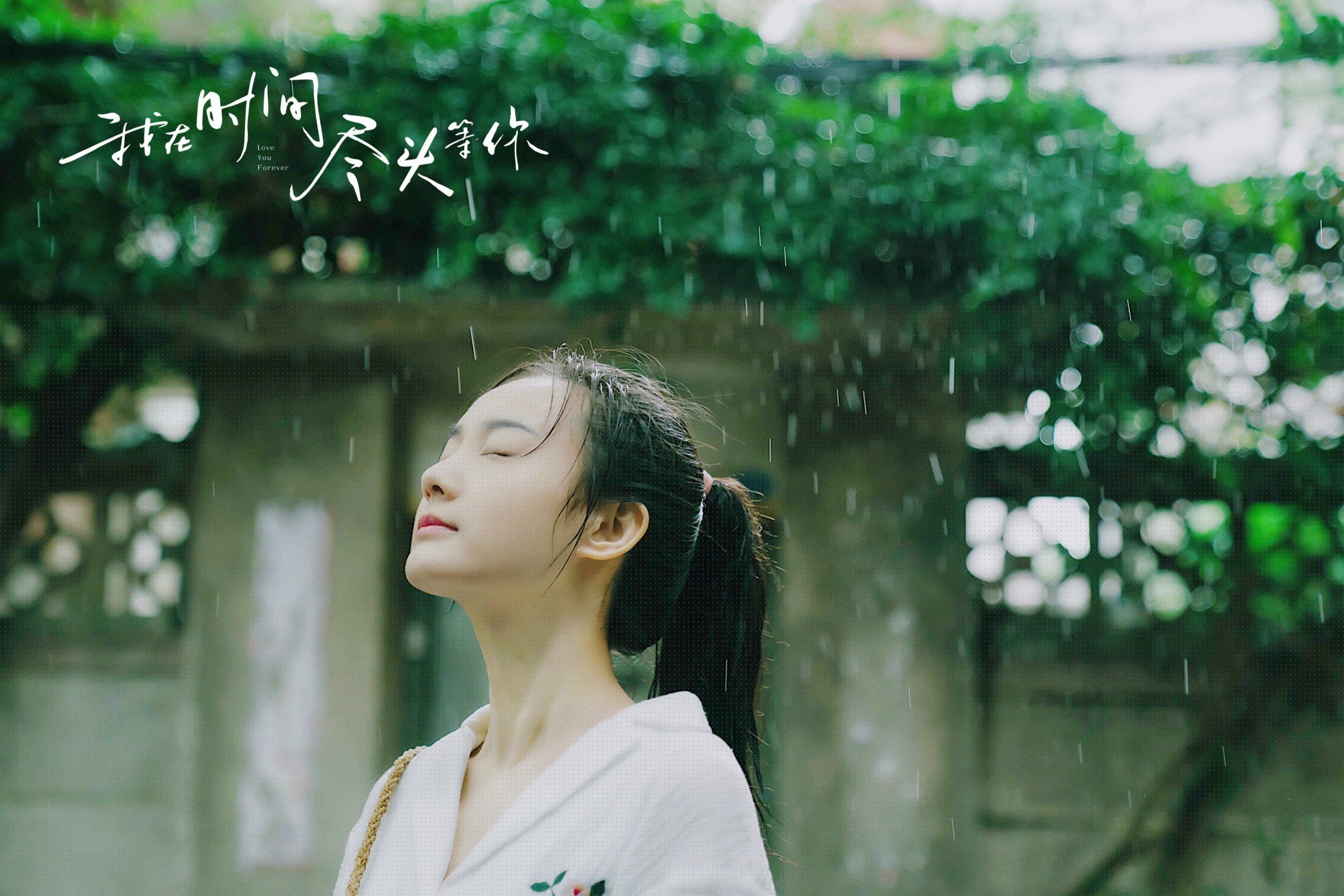 终场哨响前的王者,字母哥如何在寂静中定义伟大