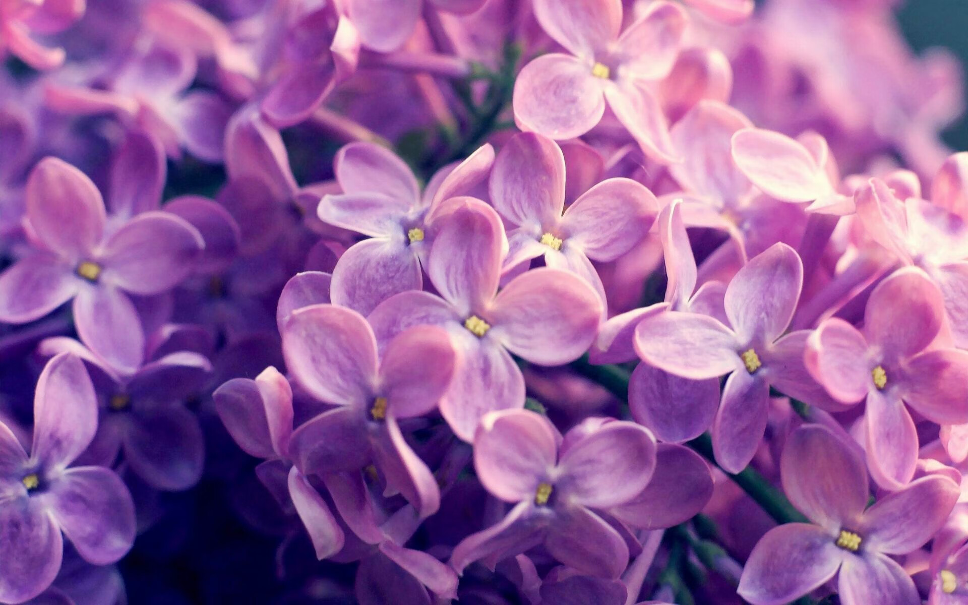 世纪冷门，摩纳哥的狂欢之夜与佩德里如何让德意志战车失魂落魄