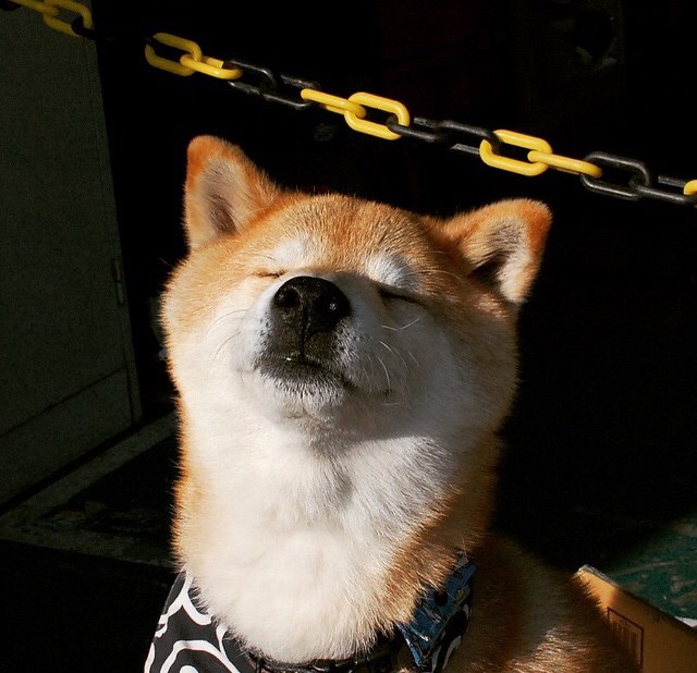 马刺防守锁死鹈鹕，篮球场上的F1式统治力—约基奇如何接管比赛