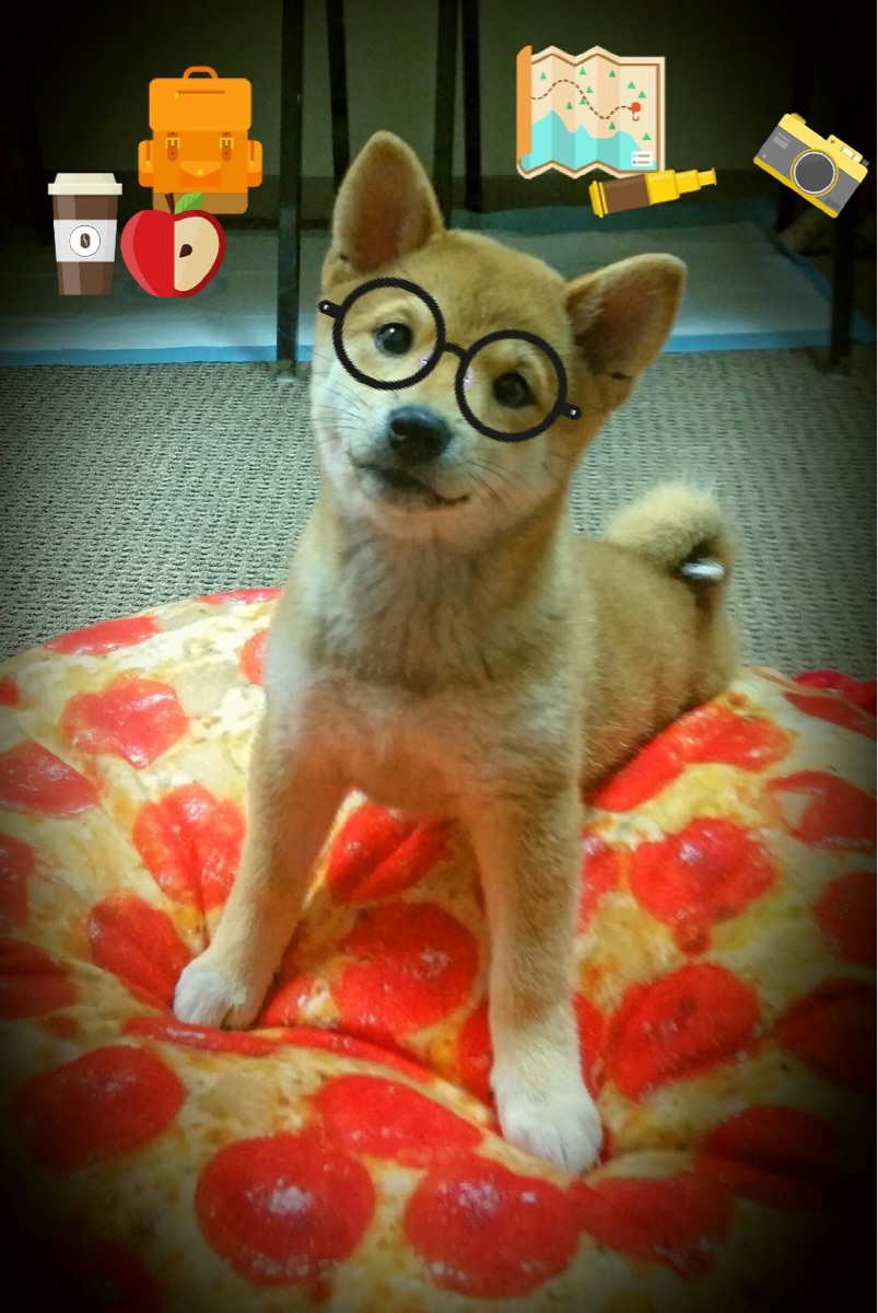 阿拉巴的狂想曲，巴拉圭爆冷胜巴萨，改写南美足球版图