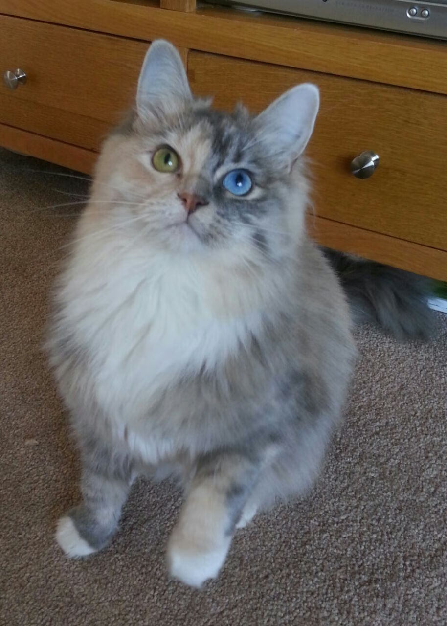 史上最快板凳逆转，马刺17分钟暴风席卷老鹰，米切尔无争议创纪录之夜