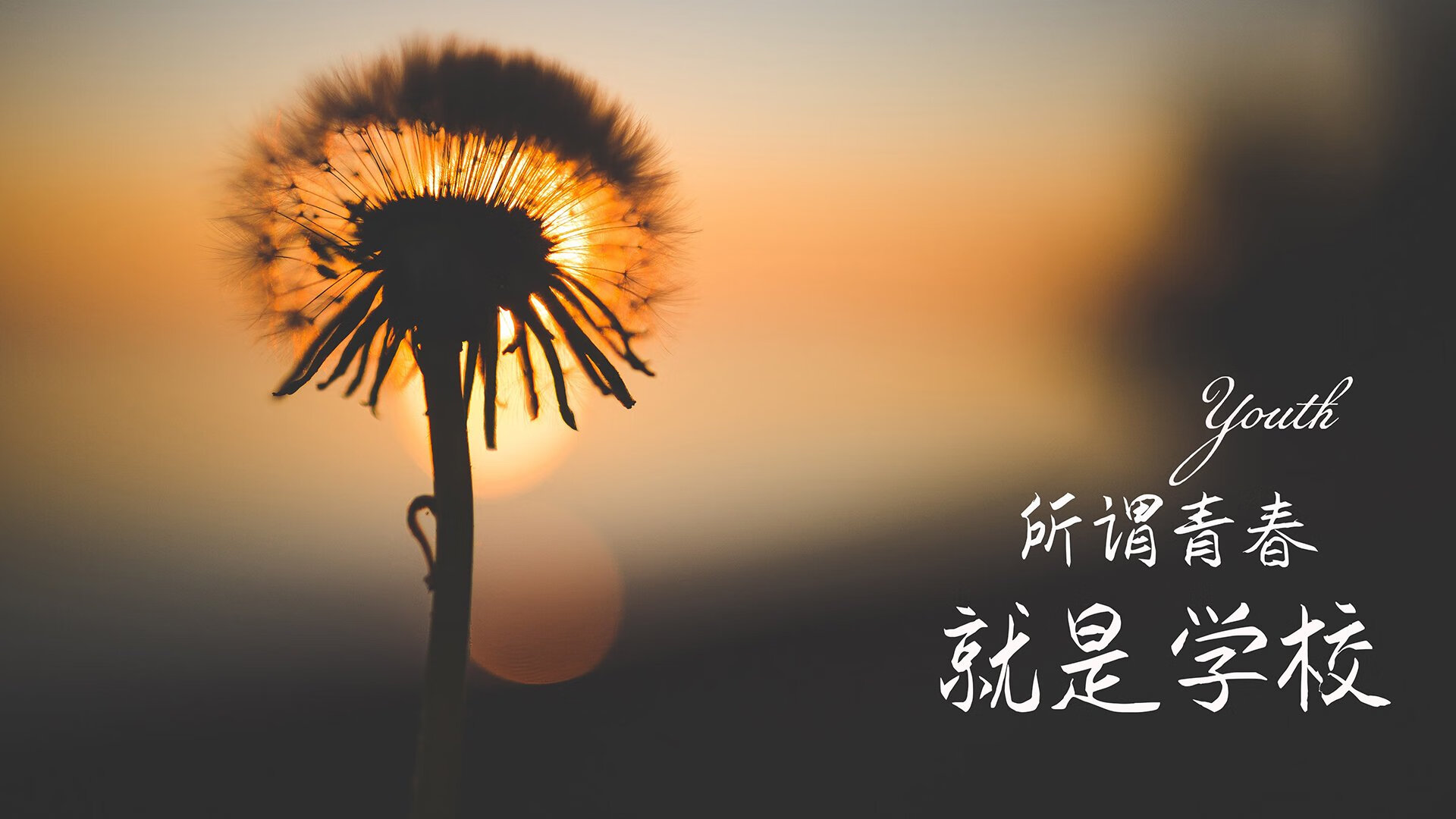橙衣军的黄昏与红魔的救赎，2026世界杯D组生死战，库尔图瓦封神之夜